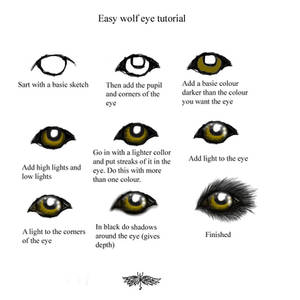 Easy wolf eye turtorial