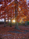 Autumn Sunset by jennalynnrichards