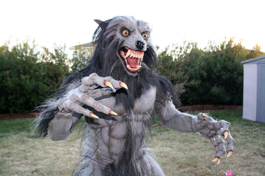 Werewolf Costume 2010