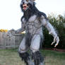 Werewolf Costume 2010-2