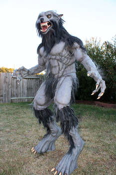 Werewolf Costume 2010-2