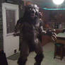 Werewolf Costume 2010-3