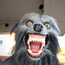 Werewolf Costume 2010-4