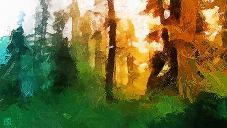 Study of morning light in the forest