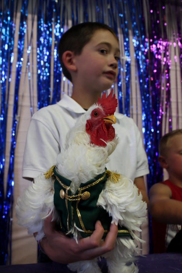 Chicken Vest