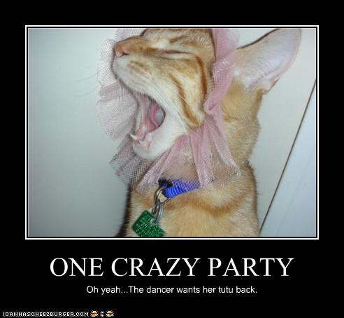 Party Kitty