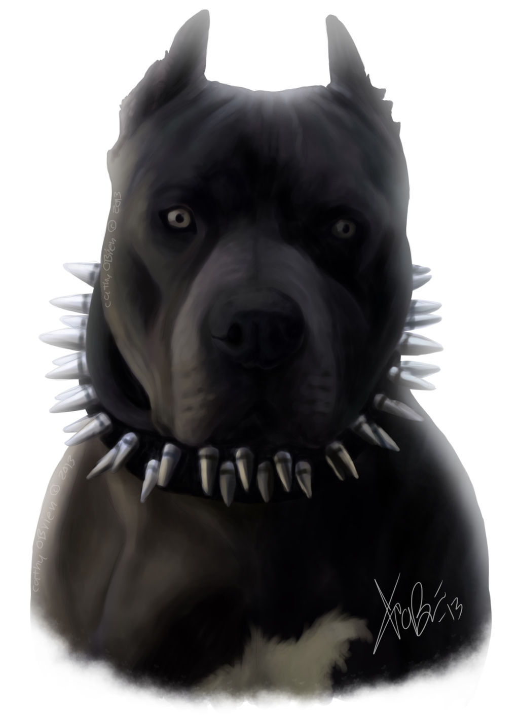 black blue pitbull portrait by
