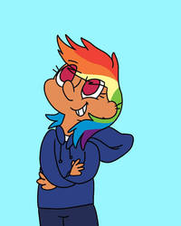 Dashie 