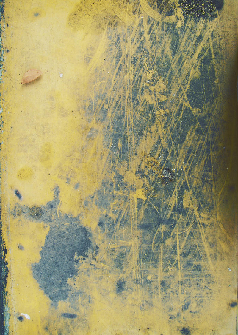 Texture 19