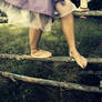 Feet forest