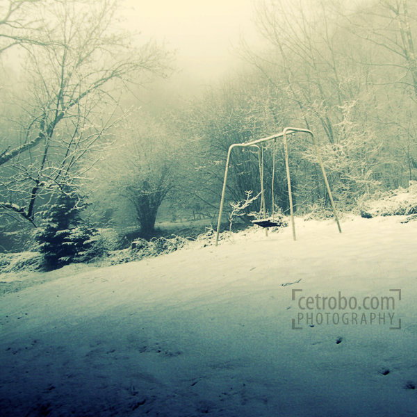 THE WINTER SWING by cetrobo