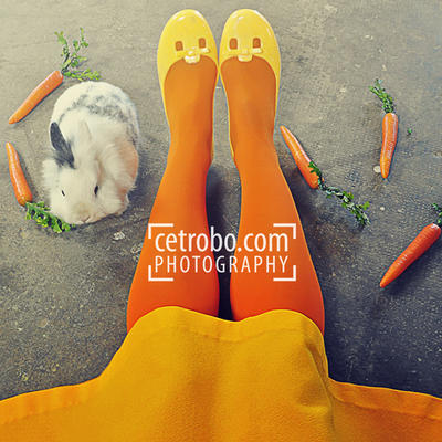 Carrots, rabbit and legs