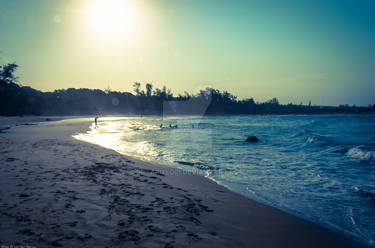 On the beach In the sun