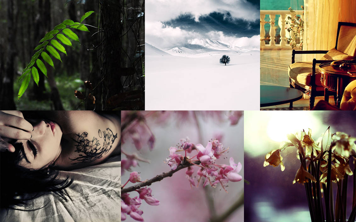 Deviantart Desktop Wallpaper by GeminiSarcophagi on DeviantArt