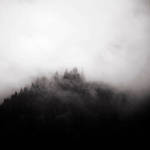 in the mist 5 by selimselimoglu