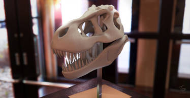 Dino Skull