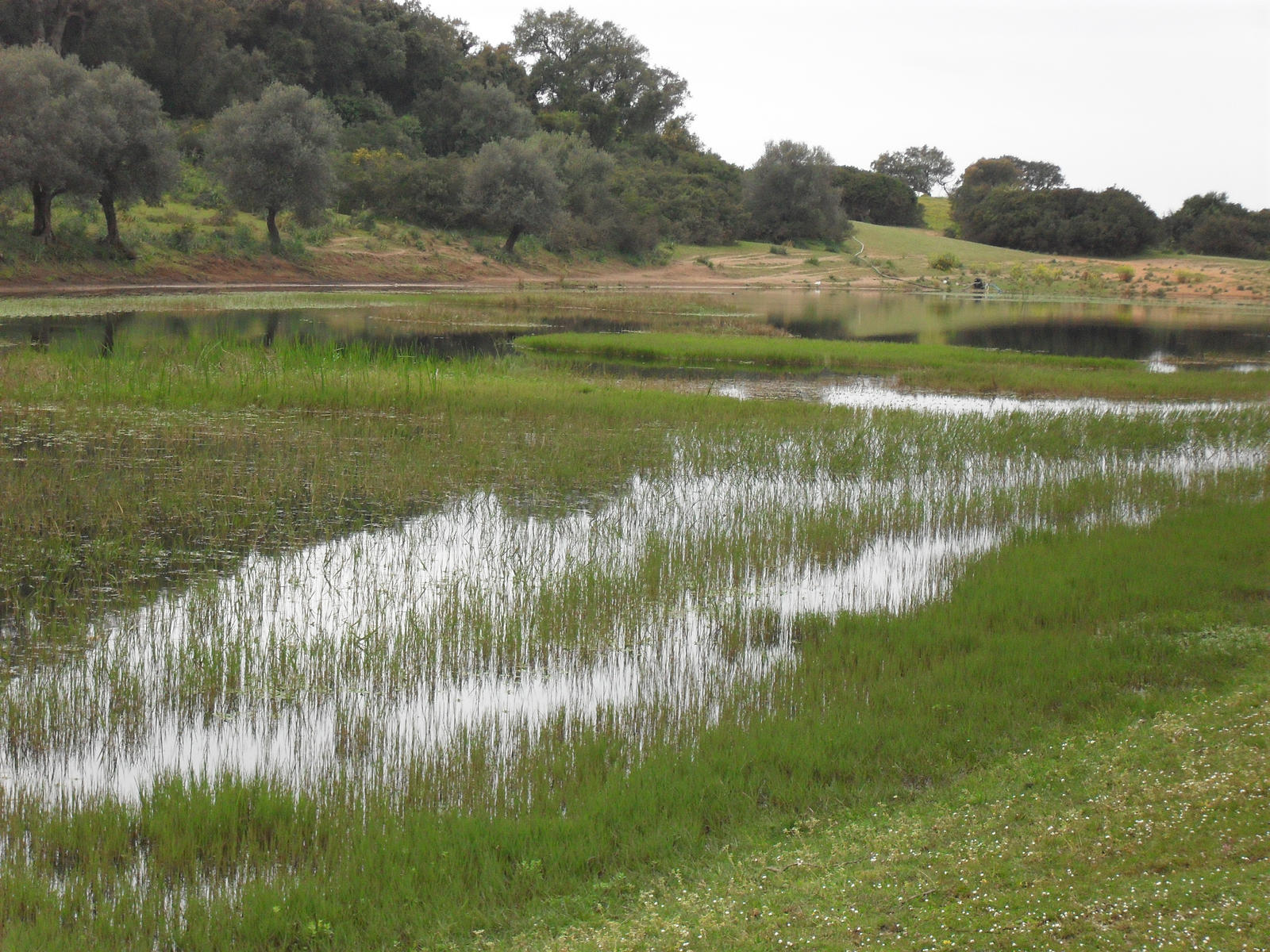 small lake