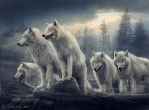 Wolfs by ZedLord-Art