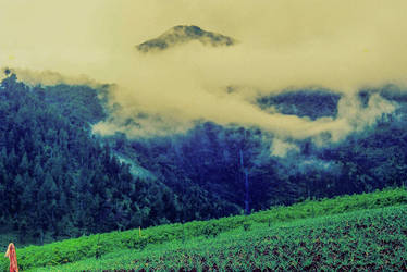 Panorama Gunung Merbabu sekitar tahun 2004