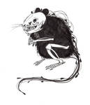 1 Rat by Maverick-Maven