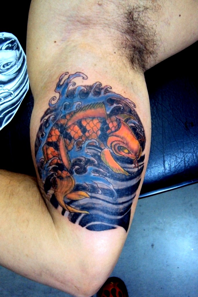 Koi Cover-Up