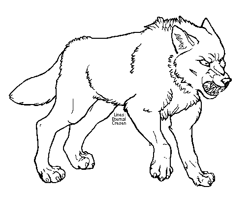 full body wolf growling drawing
