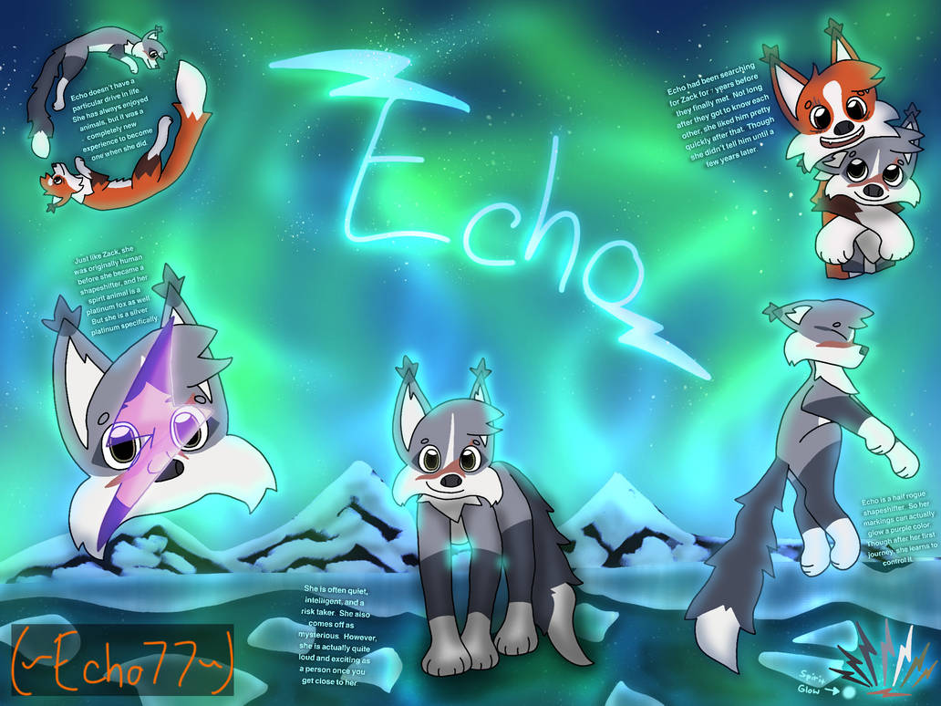Echo Complex Ref by Echo77art on DeviantArt