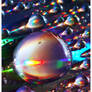 Spectrum V