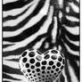 Wild At HEART - BW