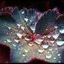 Rainy May -FULL-