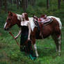 STOCK red haired woman and horse IV