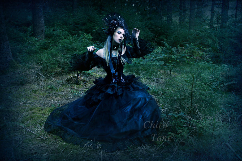 Gothic in the woods