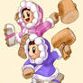 Ice climbers