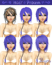 Hair process on OMD model