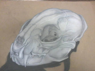 Charcoal Lynx Skull (1)