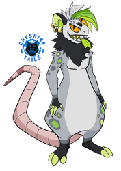 Punk Opossum DG Adopt OPEN