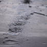 raindrops