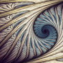 Nautilus