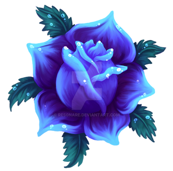 Blue Dew Rose