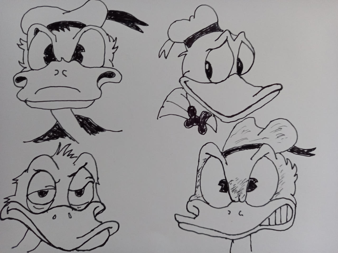 Donald Duck by SeanR171717 on DeviantArt