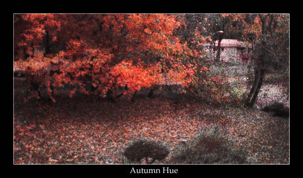 Autumn Hue