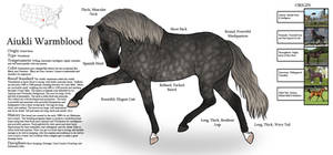 Aiukli Warmblood Breed Sheet