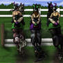 The Stud Chasers