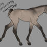 AusWb Filly Raffle (number 5: KonaKinx)