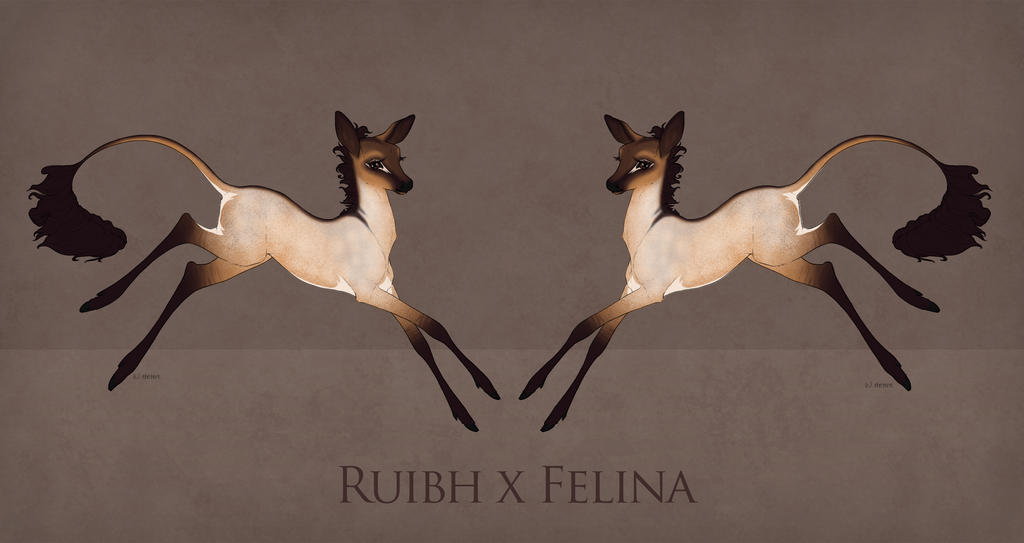 Eleanor - Ruibh x Felina