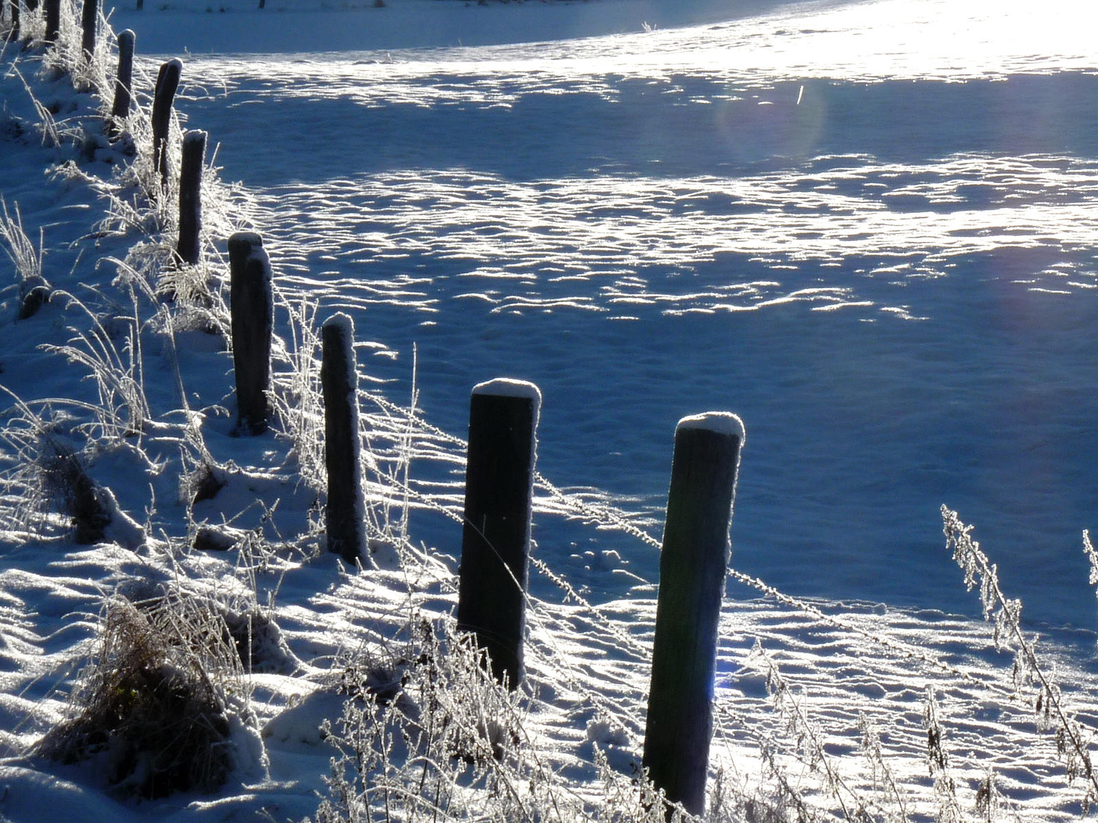 a fence in the snow