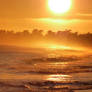 sunny mist