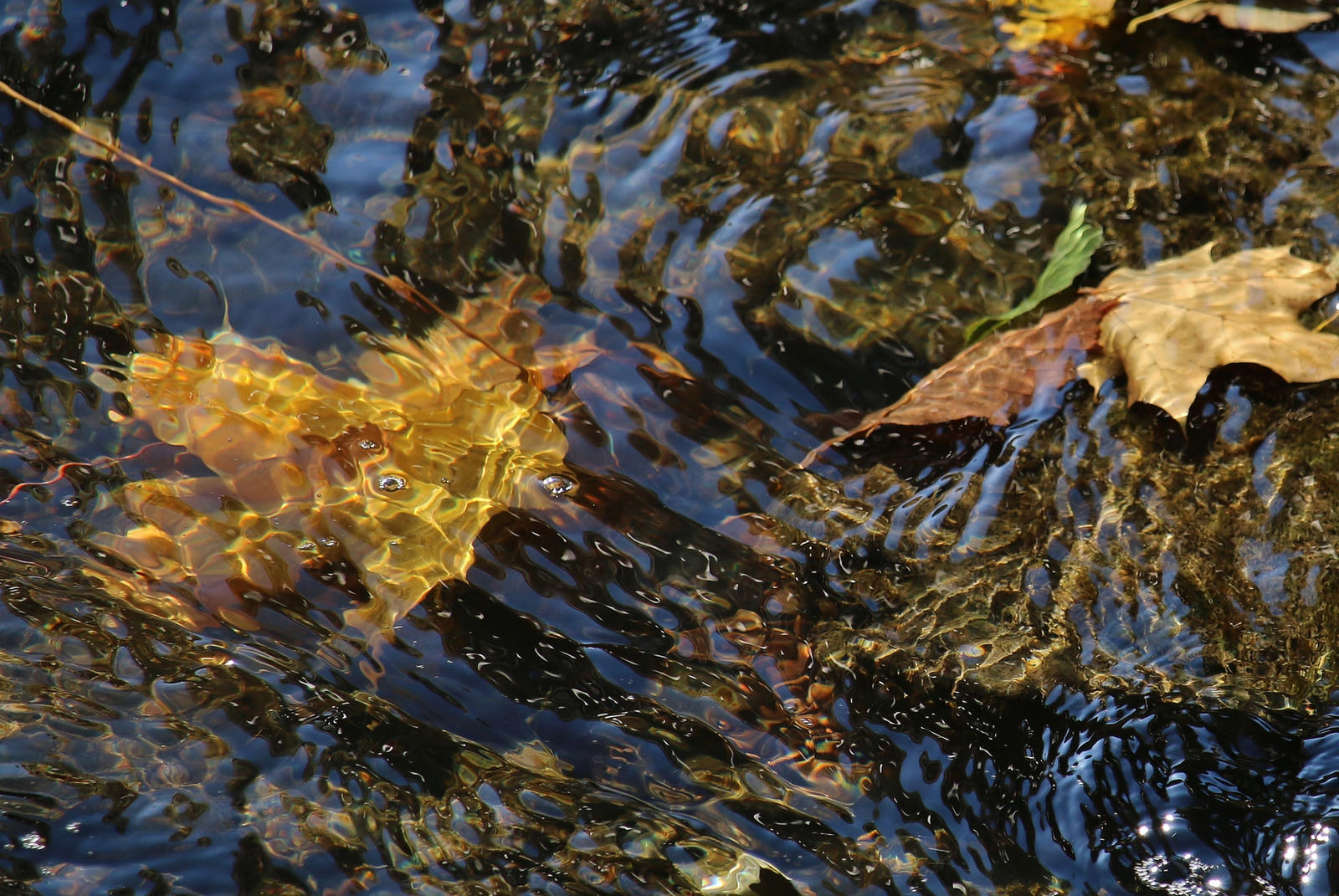 Floating Into Fall floating fall by Dieffi on DeviantArt