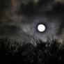 black night over dA