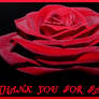 THANK YOU FOR FAVING - ROSE